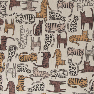 Canvas - bruine katten - Swafing