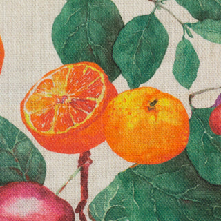 Canvas - zuiders fruit - Swafing