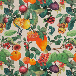 Canvas - zuiders fruit - Swafing