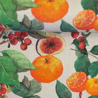 Canvas - zuiders fruit - Swafing