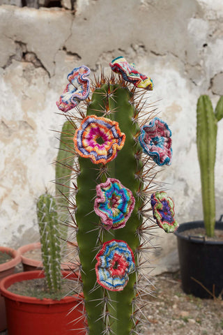 Lang - Punto 79 - Move