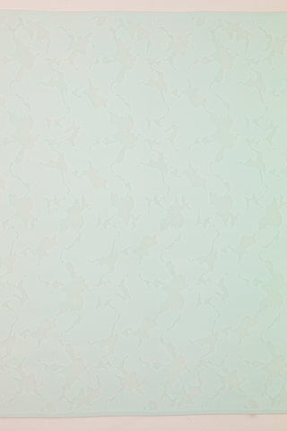 Kant XL - Terra - munt