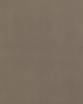 Powernet - taupe