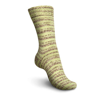 Regia - Cool Style Color