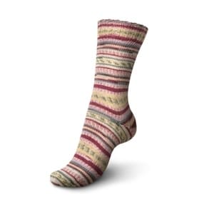 Regia - Lofoten Color