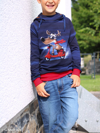 Paneel - reindeer on a scooter - Swafing